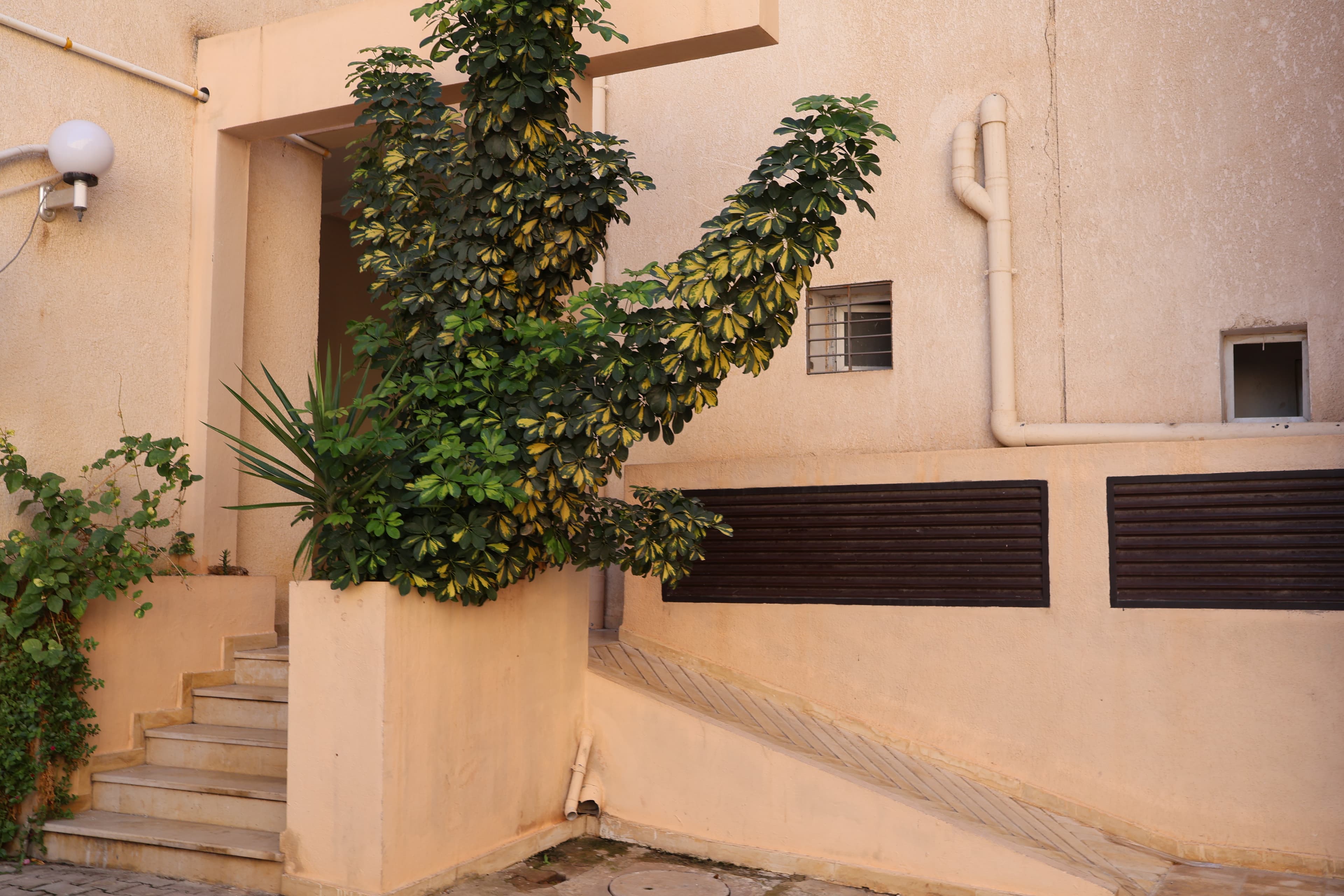 Appartement S+3 à vendre – Rez-de-chaussée - Résidence Essaraya, Ben Arous - Image 4